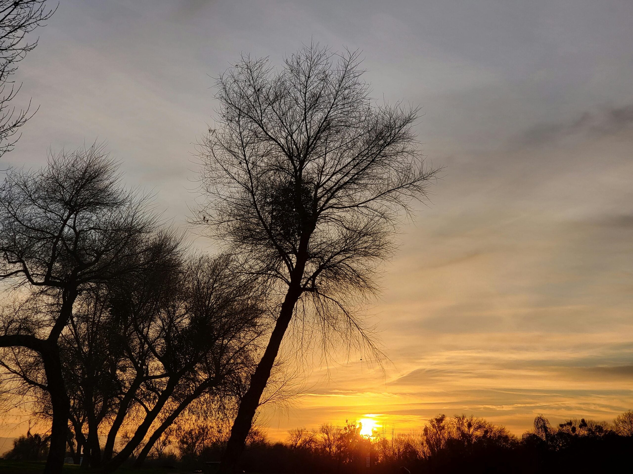 Crianças no centro do debate sobre a mudança climática na CLDF