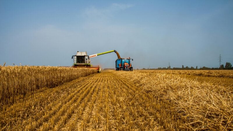 Chuvas impulsionam início do plantio de soja no Brasil, mas produtores seguem atentos ao clima