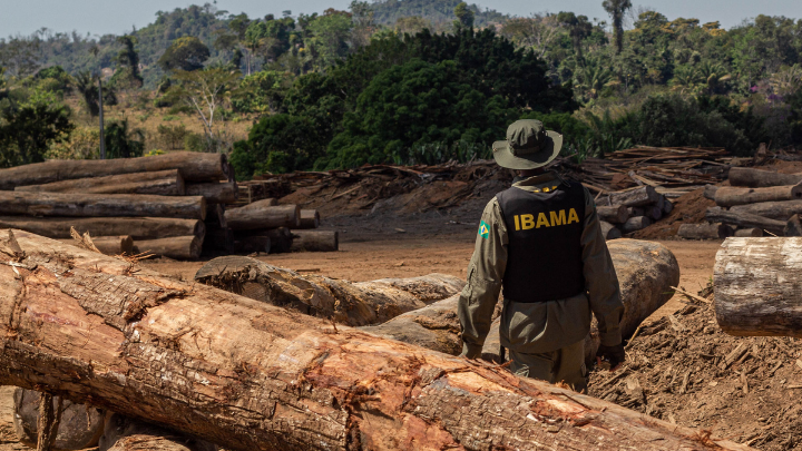Justiça anula multa ambiental e extingue execução fiscal de R$ 91 mil
