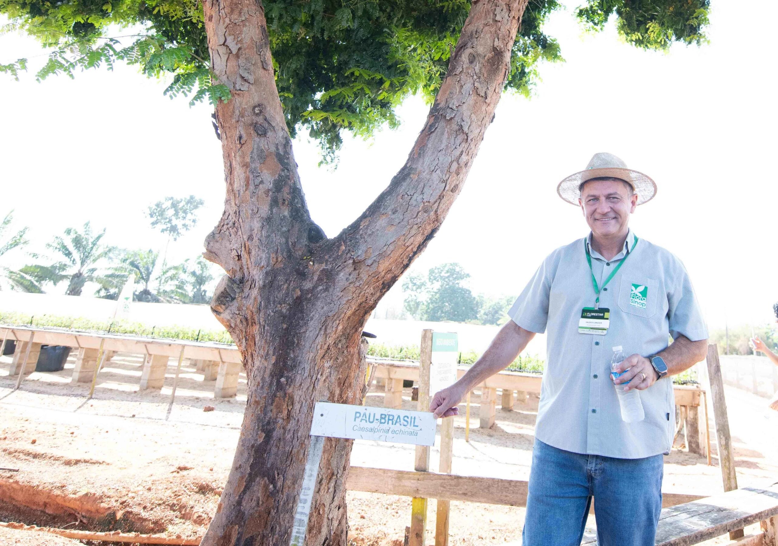 Jaldes Langer transforma paixão em referência na produção de mudas de eucalipto