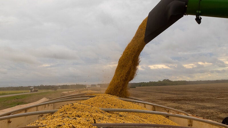 Cade decide manter Moratória da Soja até o fim do ano e Famato recebe decisão com alívio