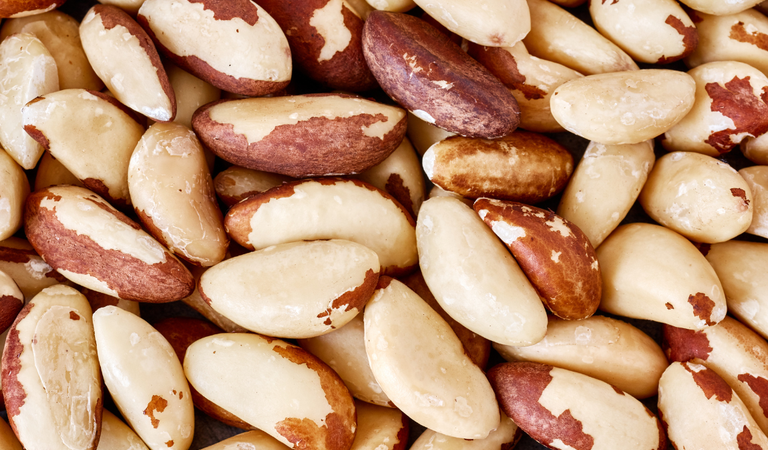 Abertura de mercado para exportação de castanha-do-Brasil para a Costa Rica