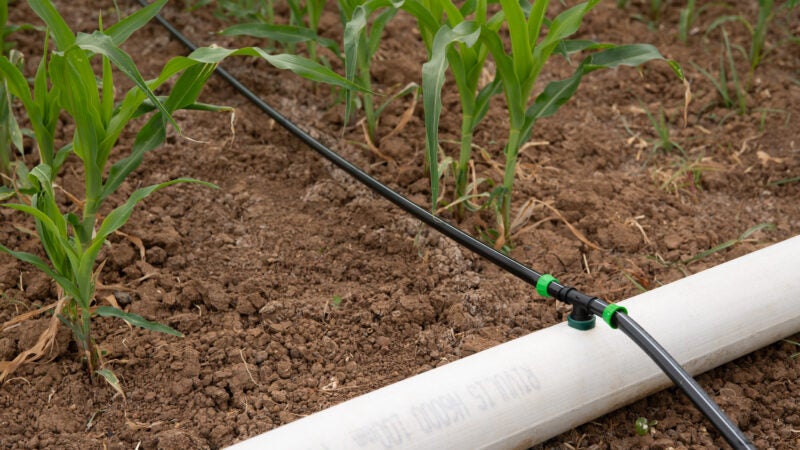 Irrigação ajuda na redução de emissões dos gases do efeito estufa