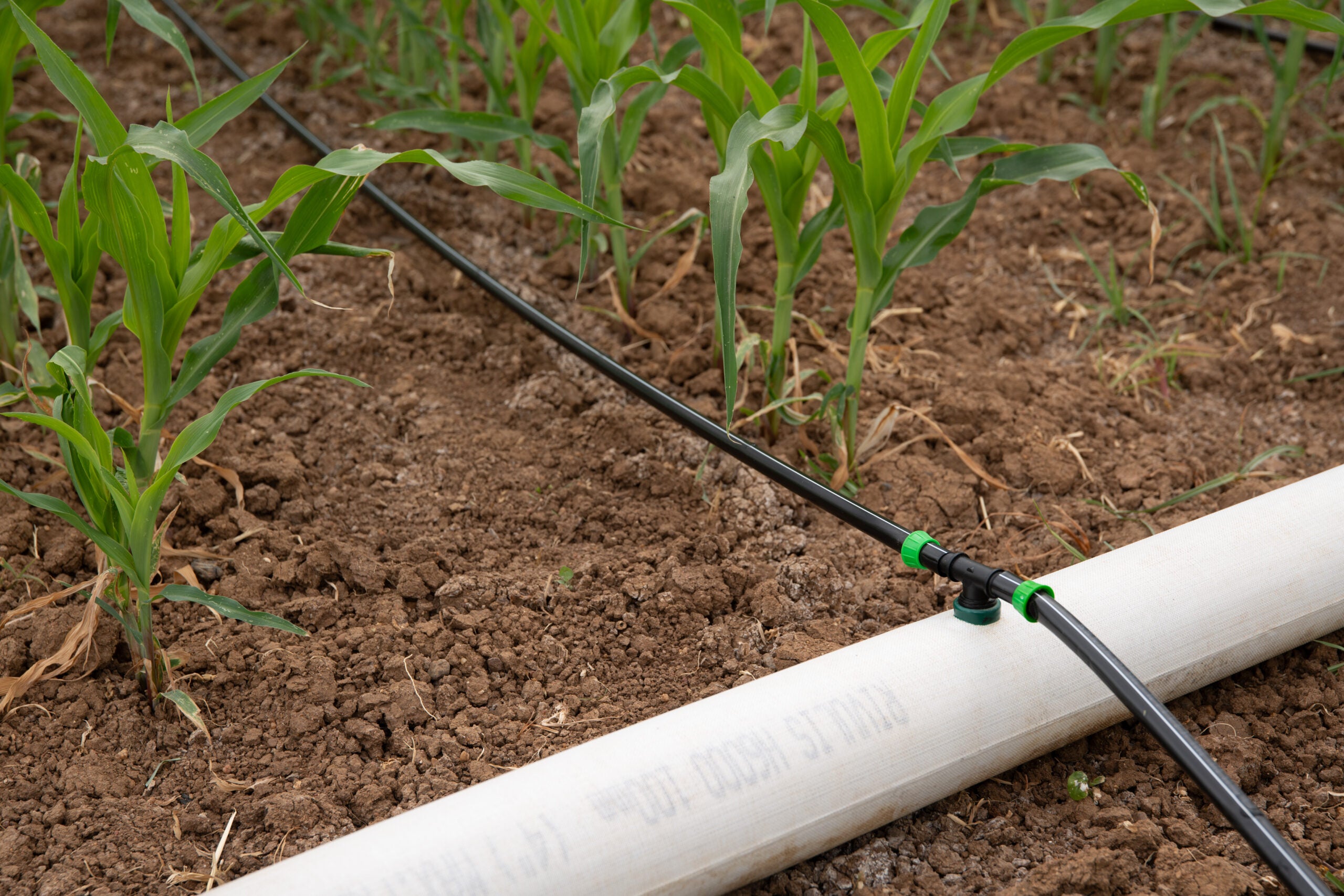 Irrigação ajuda na redução de emissões dos gases do efeito estufa