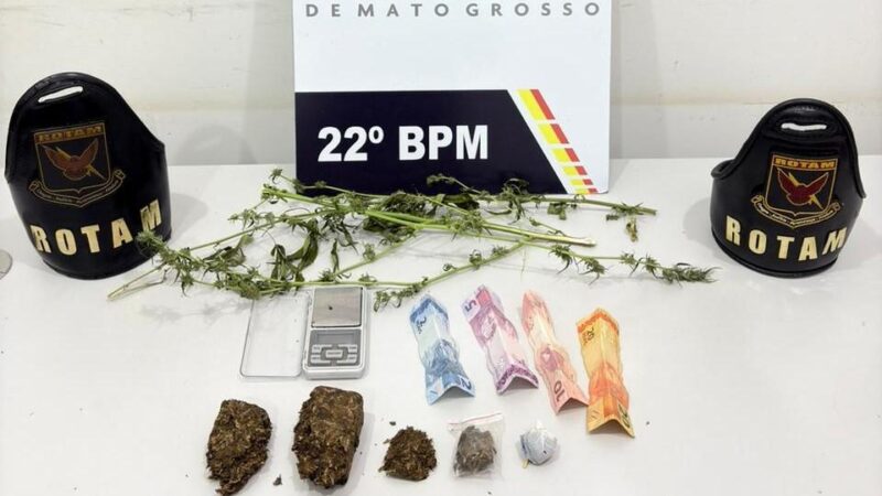 Em Peixoto de Azevedo Rotam prende faccionado com porções de maconha e mudas de cannabis
