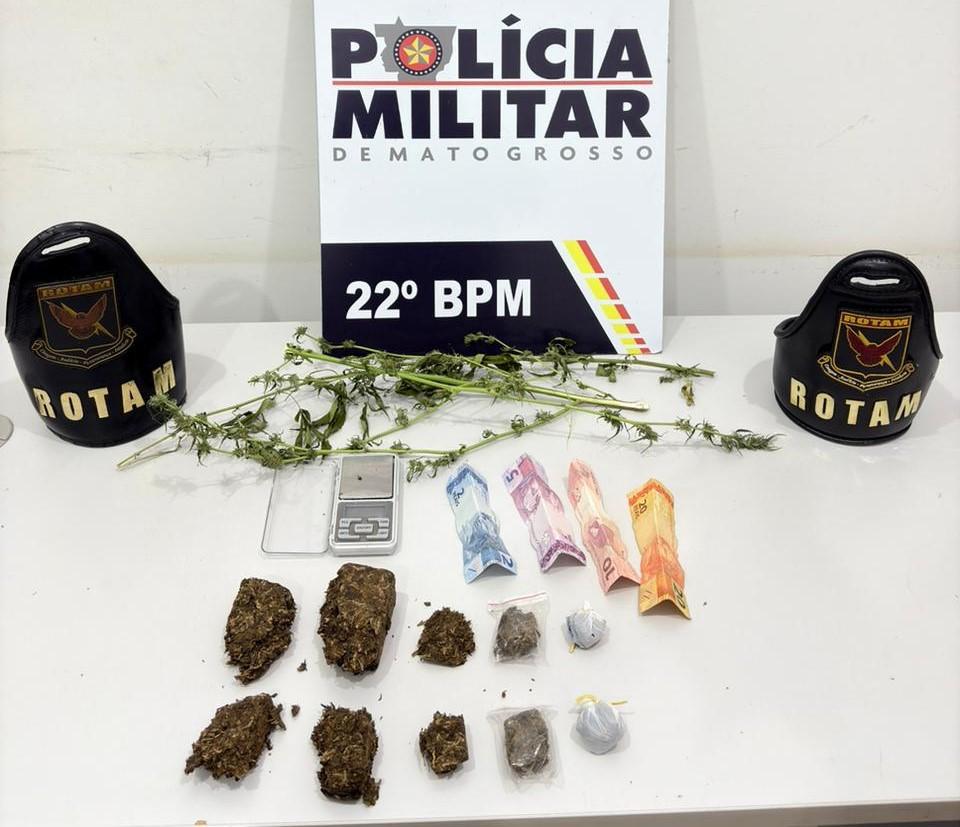 Em Peixoto de Azevedo Rotam prende faccionado com porções de maconha e mudas de cannabis