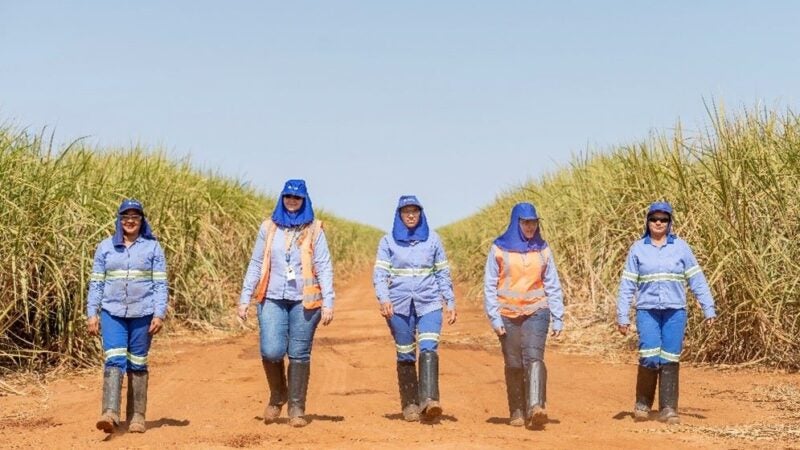 Mês da Mulher Rural: Atvos celebra data ampliando presença feminina e fortalecendo equidade no setor sucroenergético em Mato Grosso do Sul