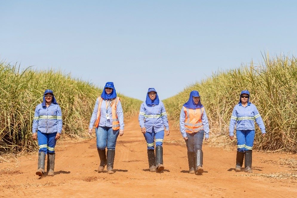 Mês da Mulher Rural: Atvos celebra data ampliando presença feminina e fortalecendo equidade no setor sucroenergético em Mato Grosso do Sul