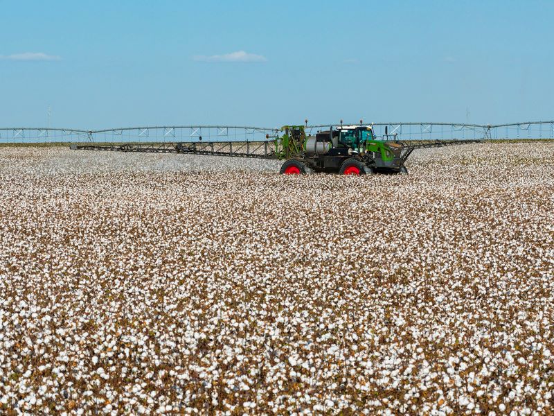 Dia Mundial do Algodão: Fendt contribui para expansão do setor algodoeiro com tecnologia de ponta no campo