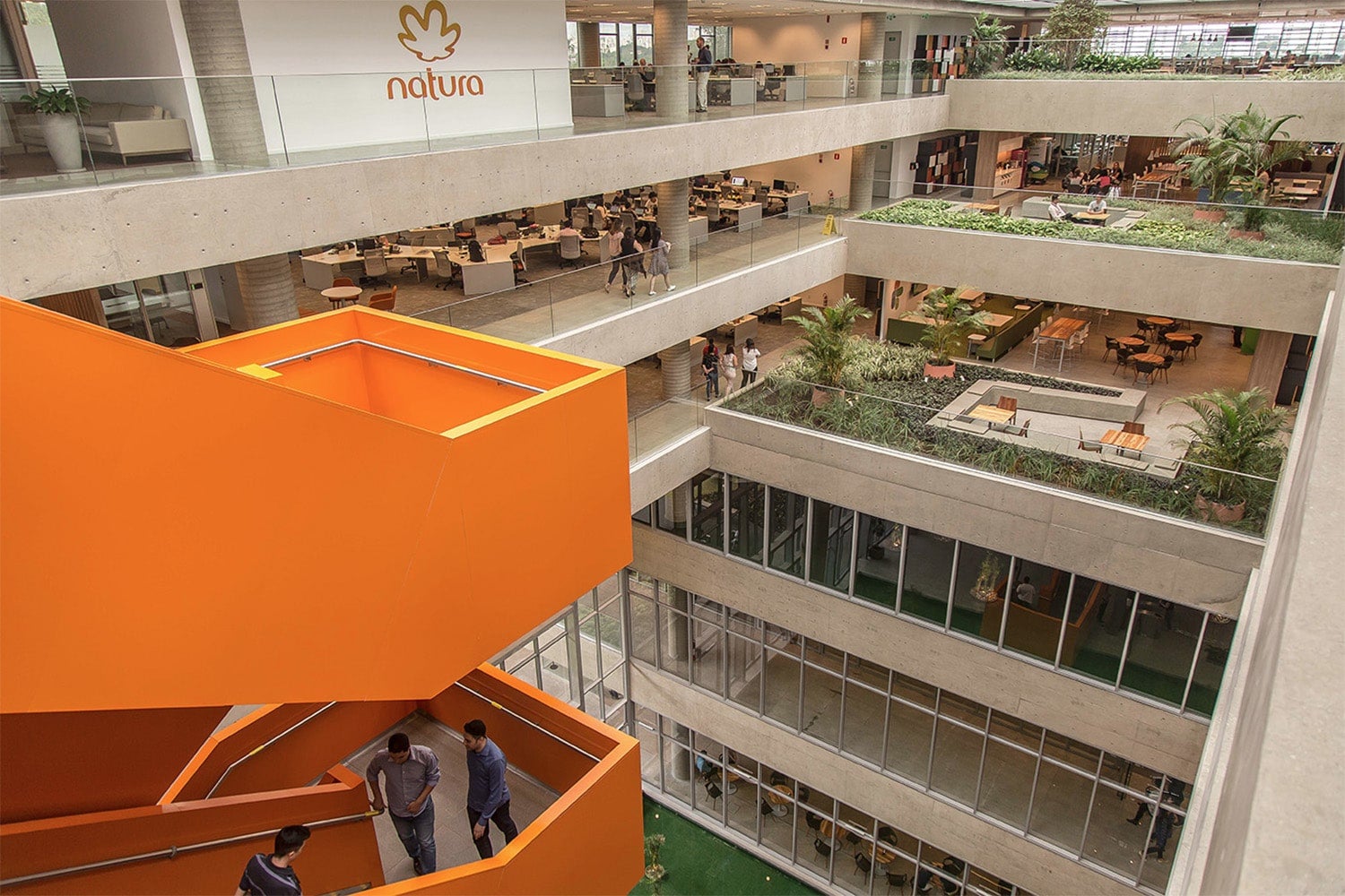 Natura é eleita a empresa com a melhor reputação do Brasil, segundo ranking Ipsos