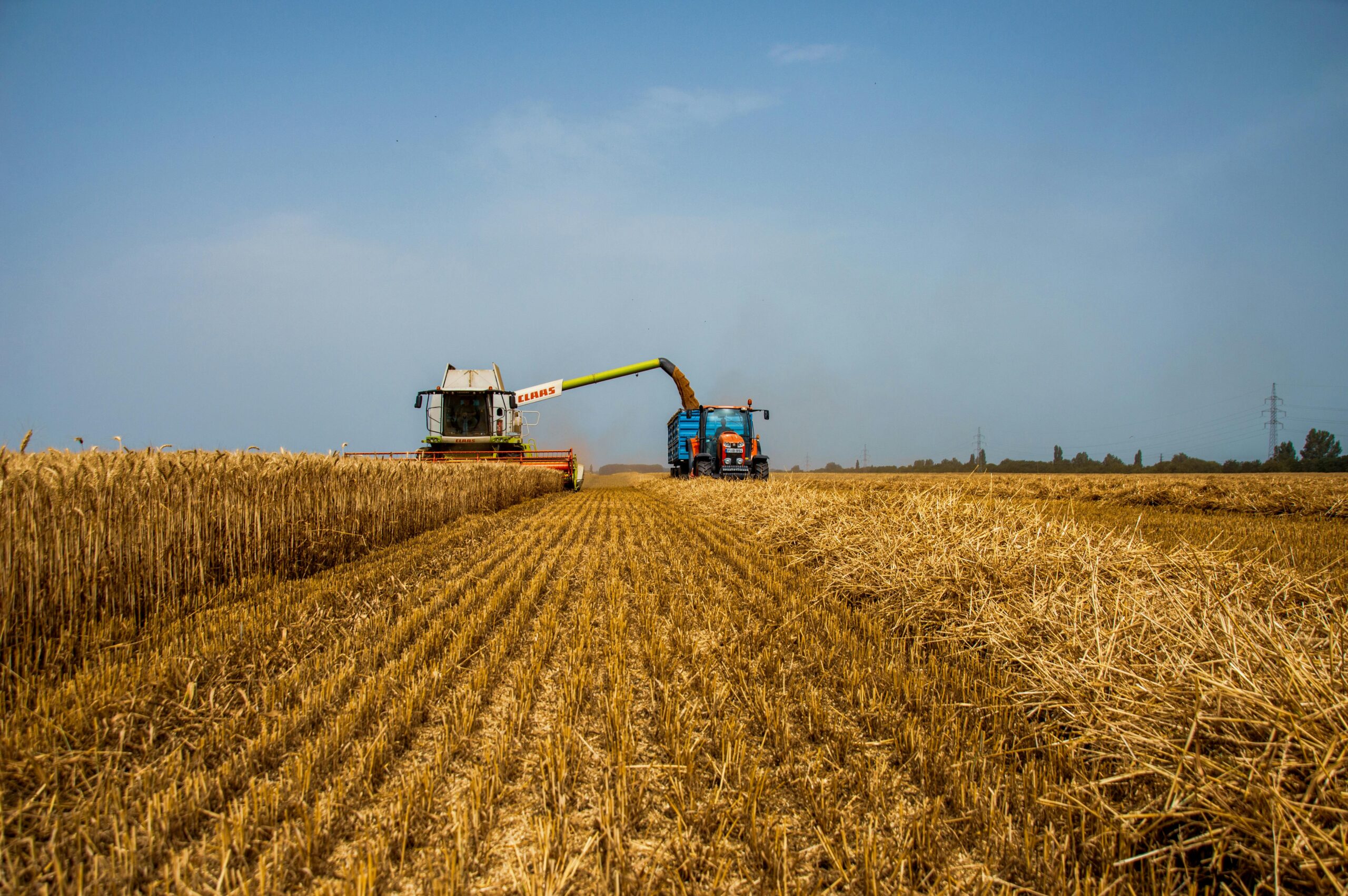 Cade mantém em vigor a Moratória da Soja até o fim de 2025