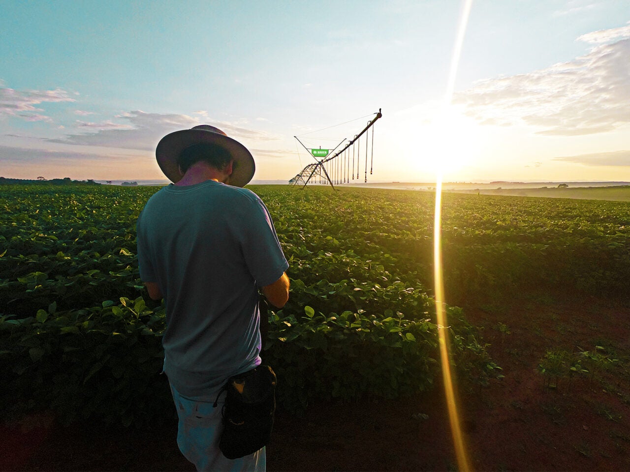 Bauer do Brasil, em parceria com Itaú, lança primeiro CRA exclusivo para irrigação