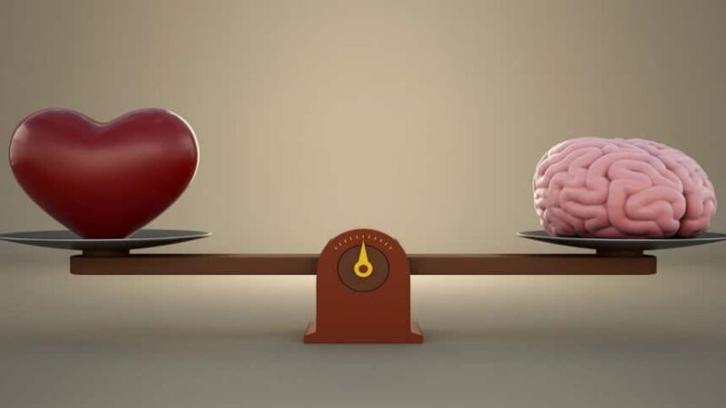 Vulnerabilidade: o Coração da Verdadeira Conexão