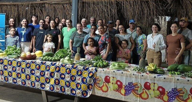 Move Mais impulsiona hortifruticultura e abre novas oportunidades para pequenos produtores