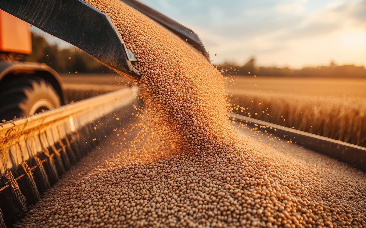 Empresas do agro identificam créditos tributários e recuperam valores milionários