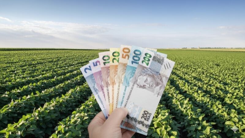 Contratação de crédito exige atenção dos produtores diante de armadilhas