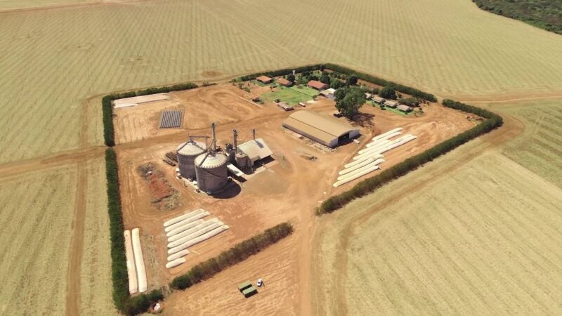 Com 268,4 sc/ha, agricultor de Mato Grosso é o grande destaque nacional na colheita de milho