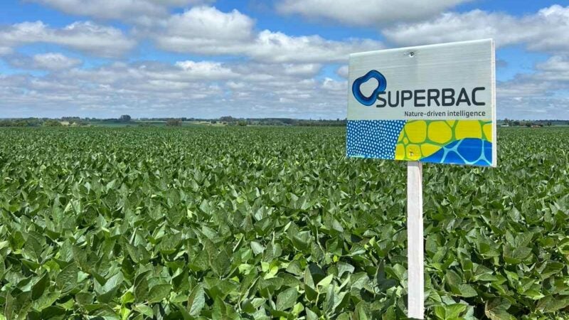 Novo biofungicida alia controle biológico eficaz e regeneração da microbiota do solo