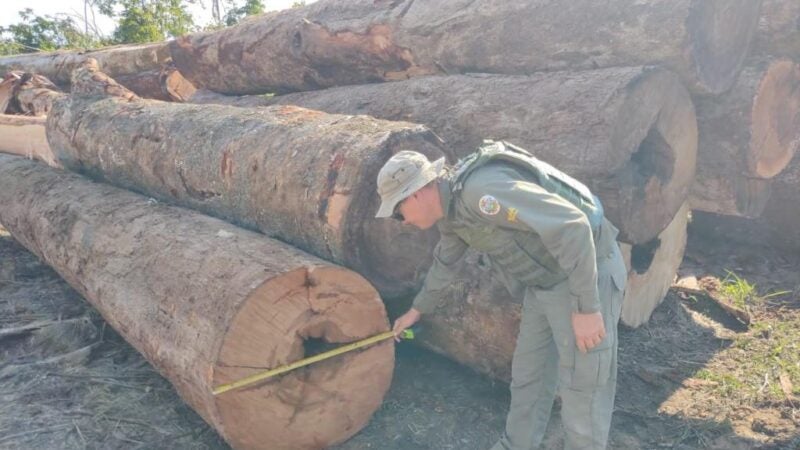 Sema apreende maquinário e aplica R$ 130 mil em multas por desmate ilegal em Apiacás