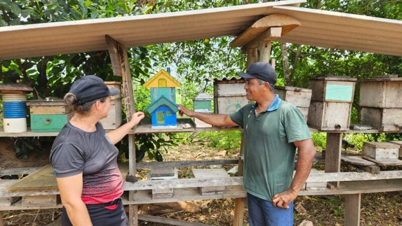 Produção de mel ganha força em Carlinda com apoio da Seaf e da Empaer e se torna alternativa de renda e conservação ambiental