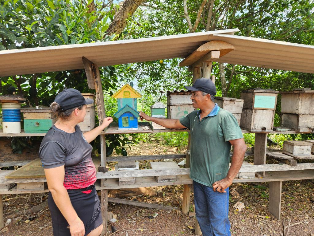 Produção de mel ganha força em Carlinda com apoio da Seaf e da Empaer e se torna alternativa de renda e conservação ambiental