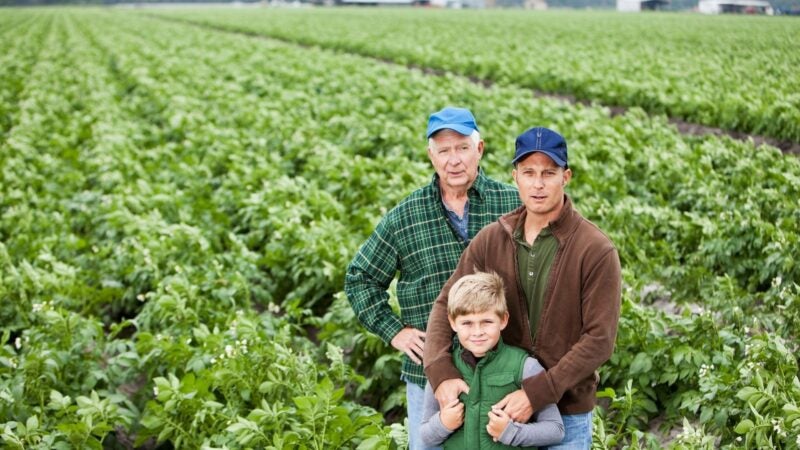 Adiar o planejamento sucessório ficará cada vez mais oneroso e burocrático aos produtores rurais