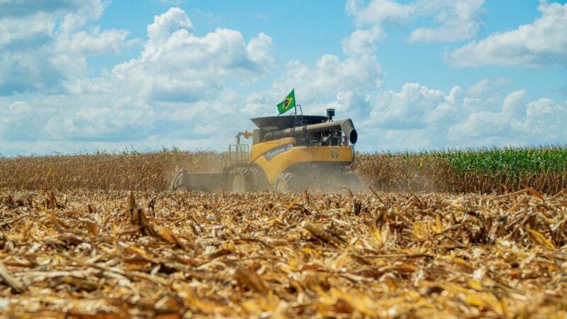 Cuidado constante com o solo é um dos segredos do campeão nacional de produtividade do milho