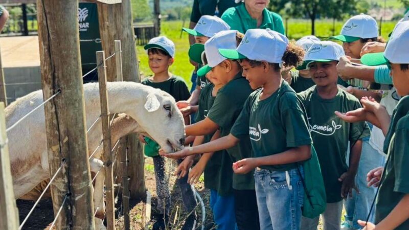 Projeto entre  parceria do Senar-MT e Sindicato Rural de Jaciara  leva prática do Agro a estudantes