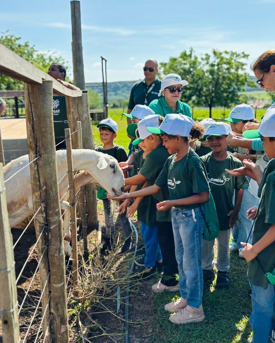 Projeto entre  parceria do Senar-MT e Sindicato Rural de Jaciara  leva prática do Agro a estudantes