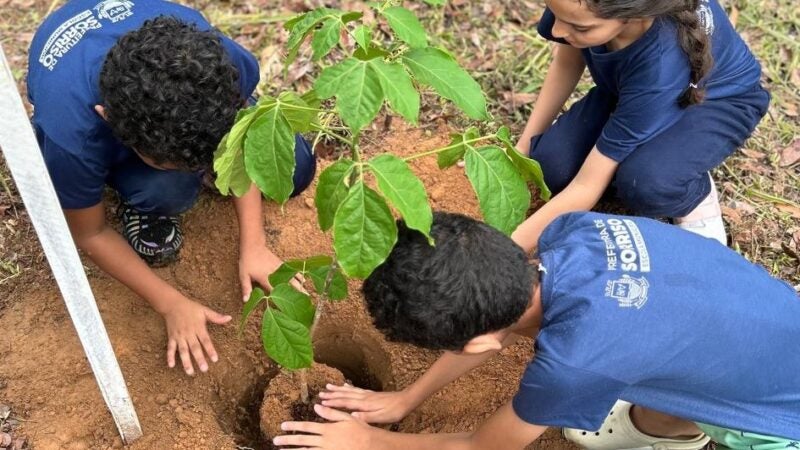 Projeto Águas do Lira já plantou mais de 17 mil mudas para recuperar nascentes em Sorriso