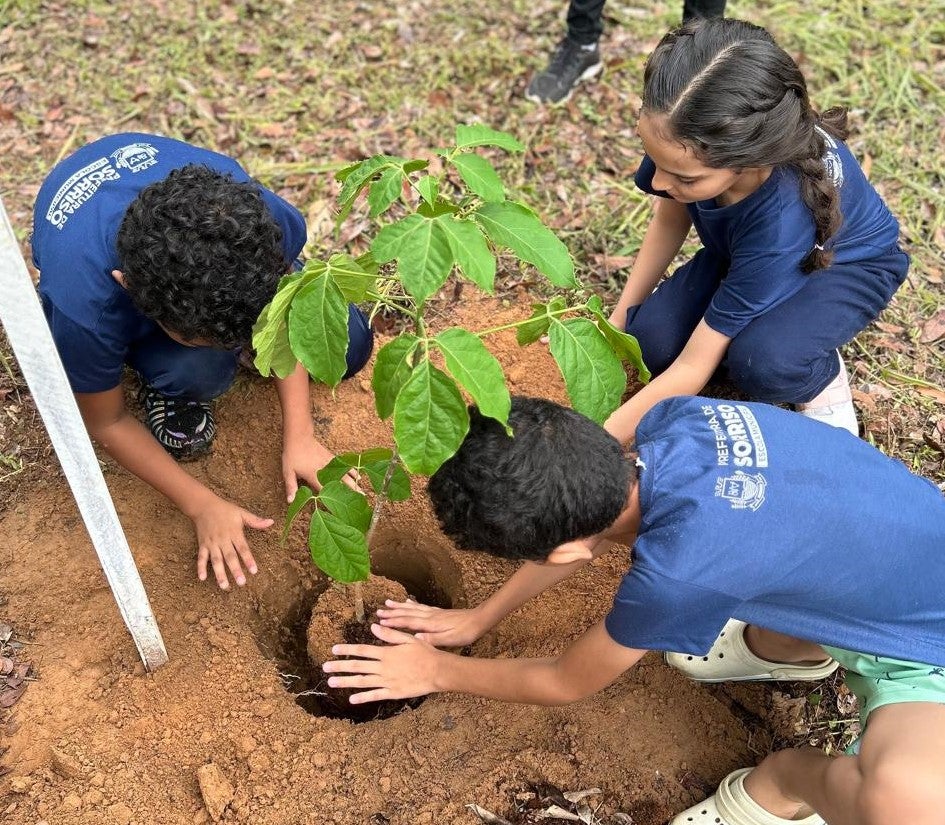 Projeto Águas do Lira já plantou mais de 17 mil mudas para recuperar nascentes em Sorriso