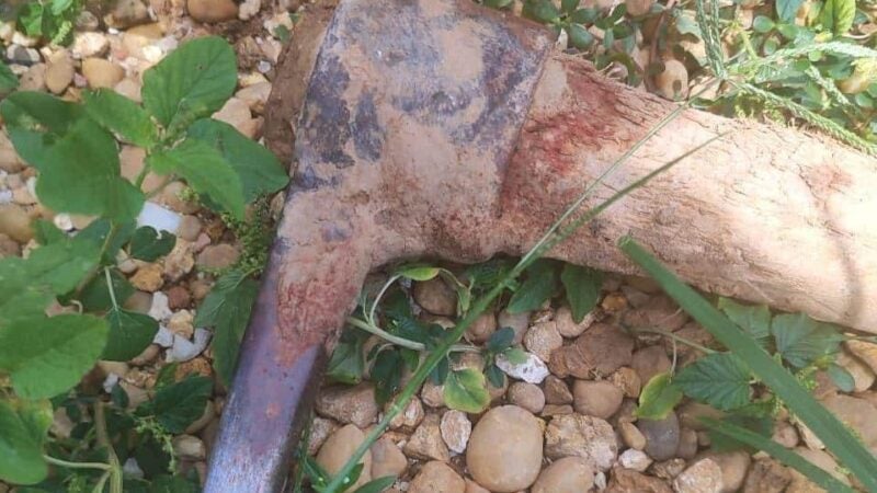 Preso em Guarantã do Norte acusado de matar pedreiro com golpes de picareta em Sinop