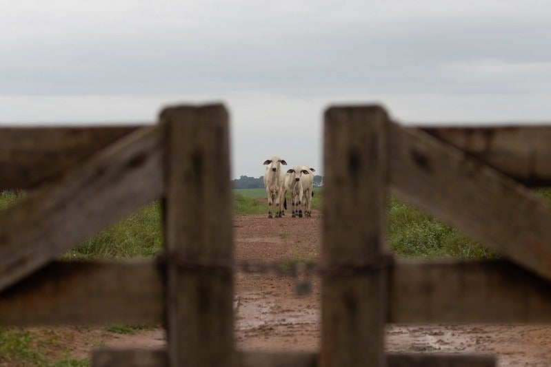Gestão de caixa e isenção de IR levam produtor de MT ao mercado financeiro