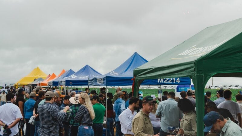 Mato Grosso inicia período de grandes eventos técnicos em campo; na região Oeste, Deciolândia vai receber a 13ª edição do PA Summit