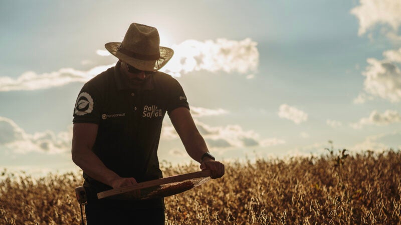 Rally da Safra volta ao Mato Grosso para reavaliar evolução das lavouras de soja