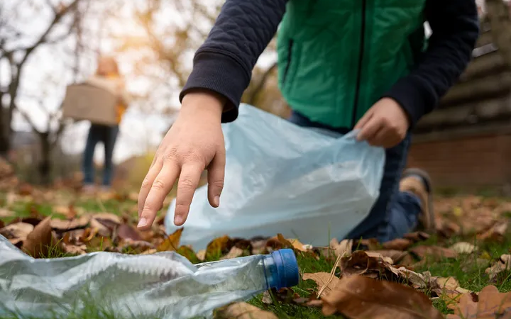 Reciclagem de Papel: Economia de Árvores e Recursos Naturais