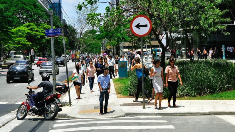 Meio Ambiente Urbano e Inclusão Social
