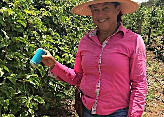 Tecnologia impulsiona agricultura familiar no médio-norte e norte de Mato Grosso