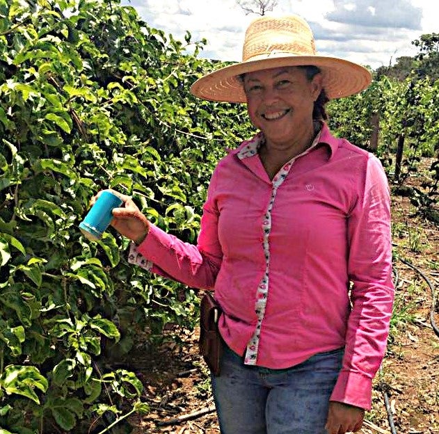 Tecnologia impulsiona agricultura familiar no médio-norte e norte de Mato Grosso