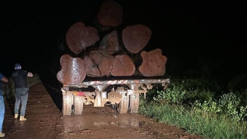 Polícia Civil e Sema flagram transporte e venda ilegal de madeira em Novo Mundo