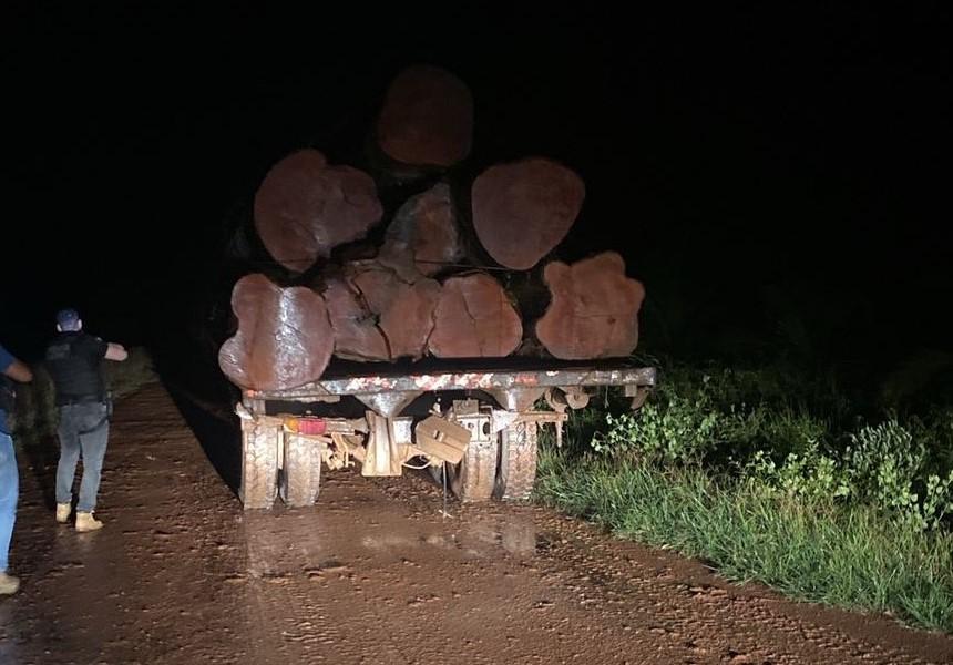 Polícia Civil e Sema flagram transporte e venda ilegal de madeira em Novo Mundo