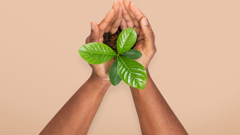 Quando conservar vidas também é uma decisão de negócios