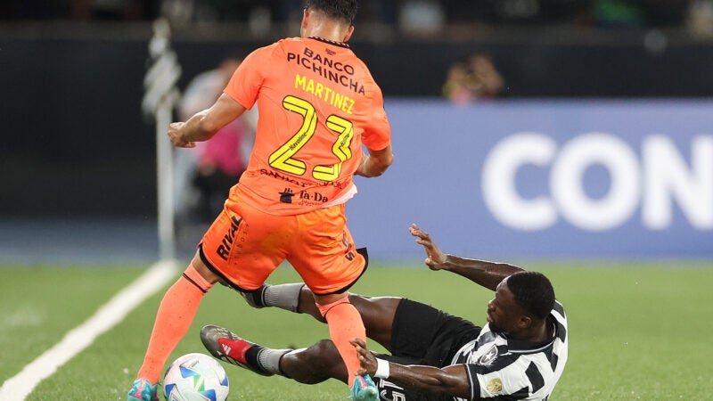 Botafogo é eliminado da Libertadores após derrota em casa
