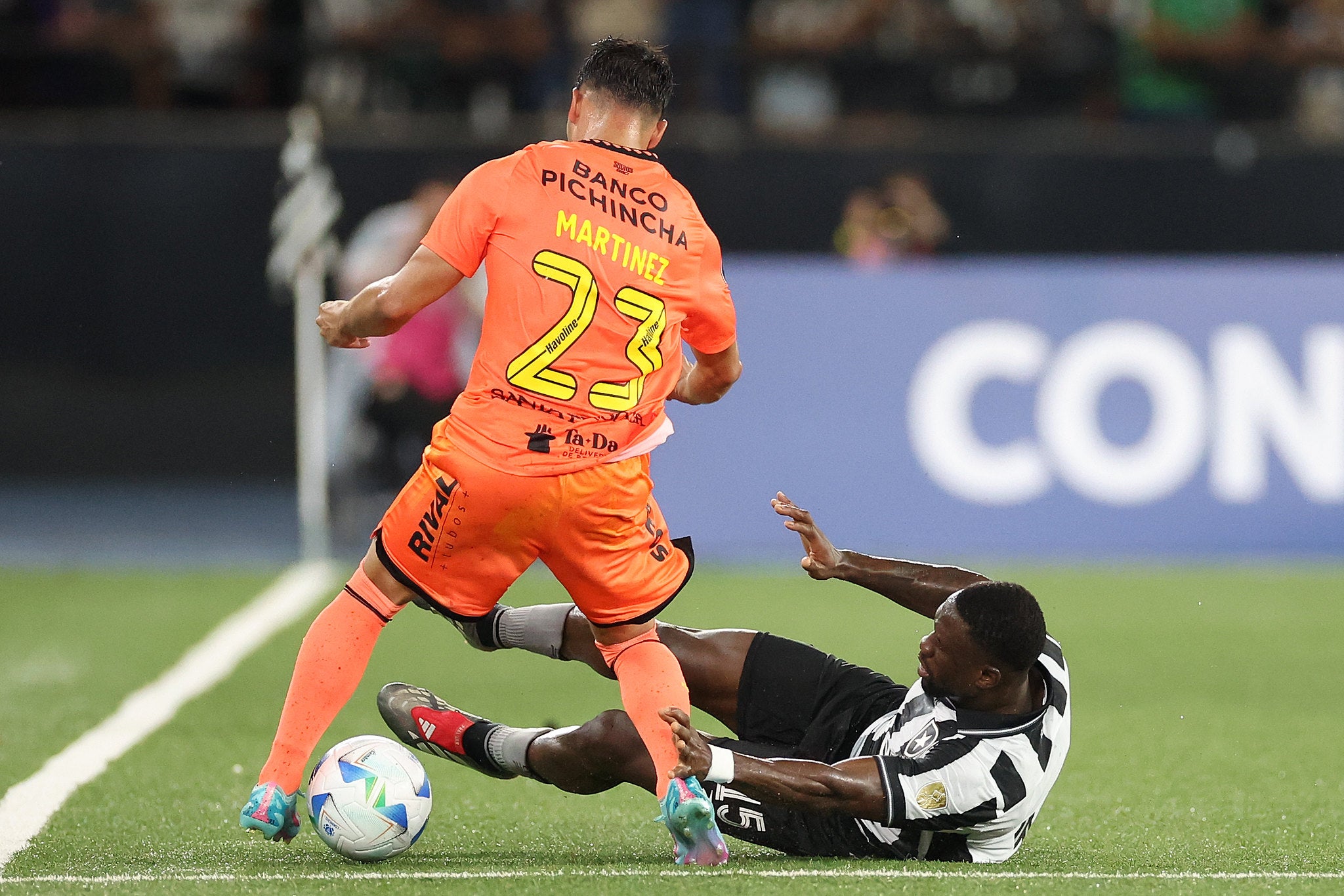 Botafogo é eliminado da Libertadores após derrota em casa