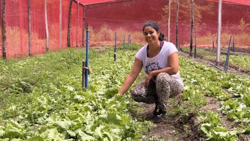 “Apoio do Governo é que faz o produtor continuar na propriedade”, diz agricultor que investe na agrofloresta em Santo Antônio de Leverger