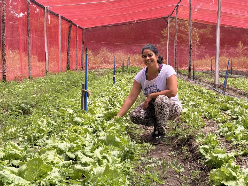 “Apoio do Governo é que faz o produtor continuar na propriedade”, diz agricultor que investe na agrofloresta em Santo Antônio de Leverger