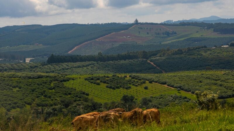 Venda de fazenda arrendada não retira os direitos do produtor rural