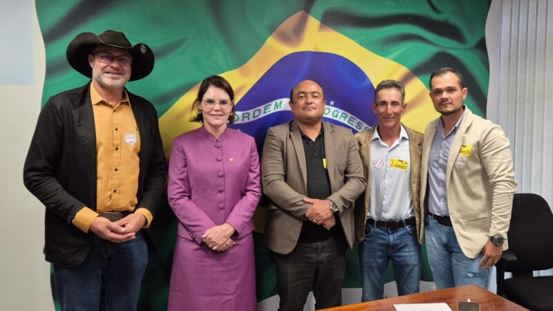 Vereadores Buscam em Brasília Recursos para pavimentação das ruas de acesso as escolas públicas urbanas de Guarantã do Norte