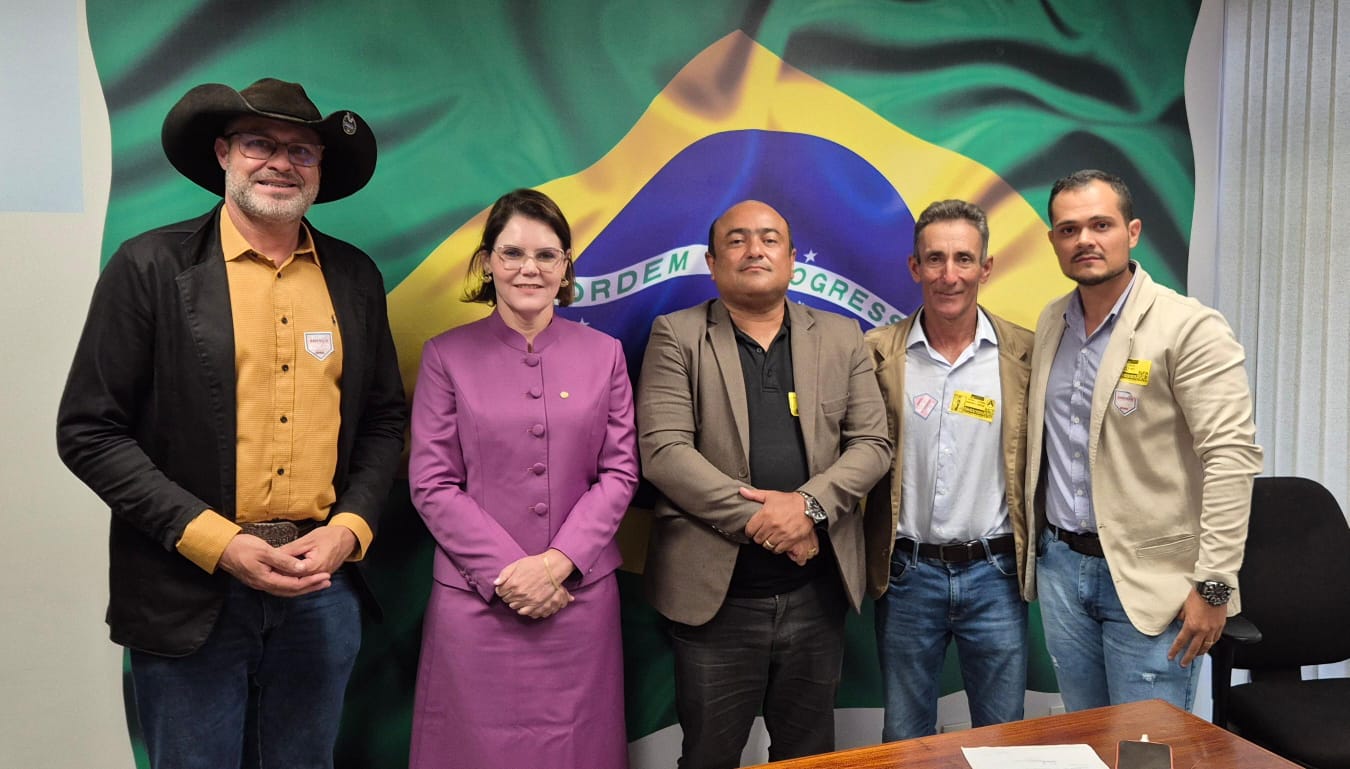 Vereadores Buscam em Brasília Recursos para pavimentação das ruas de acesso as escolas públicas urbanas de Guarantã do Norte
