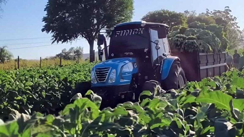 Cultivo de Tabaco ganha mais eficiência com tratores exclusivos e impulsiona a agricultura familiar no Sul do País